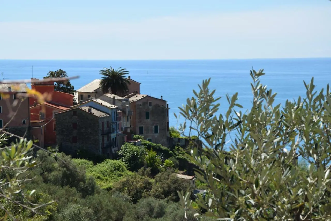 Corner Of Paradise Near Cinque Terre Framura Italie